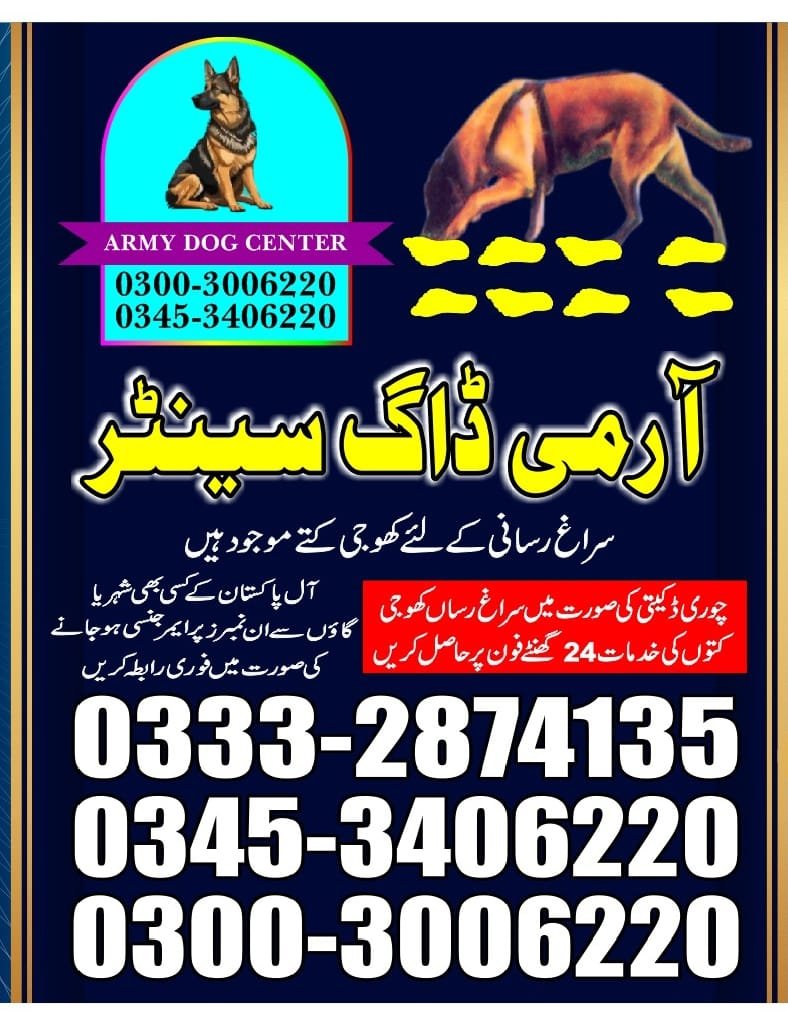 Army Dog Center | jampir   | 03332874135