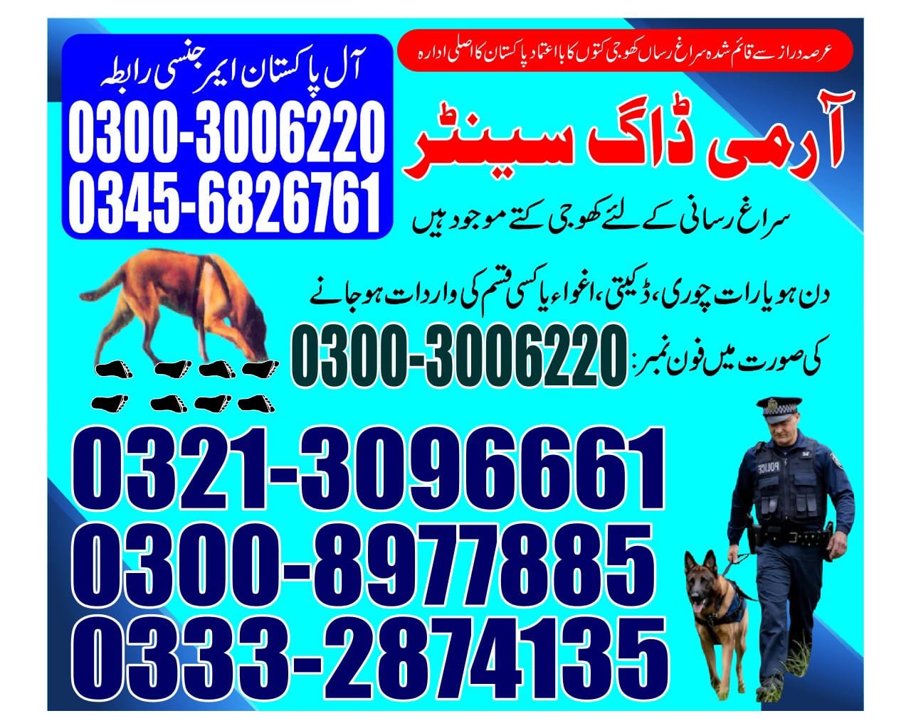 Army Dog Center | Jacobabad | 24/7 service | contact us now | 03332874135