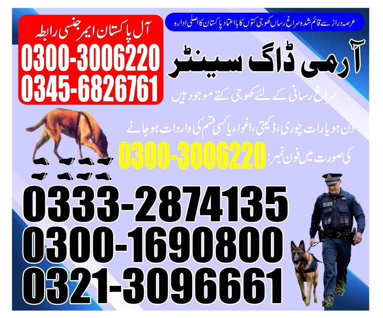 Army Dog Center |    Malir cantt karachi| 03332874135