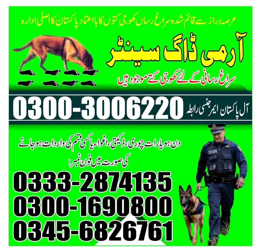 Army Dog Center |  keti bandar   | 03332874135