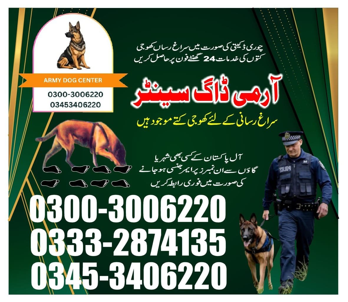 Army Dog Center |   Tando jam Tando Allahyar| 03332874135