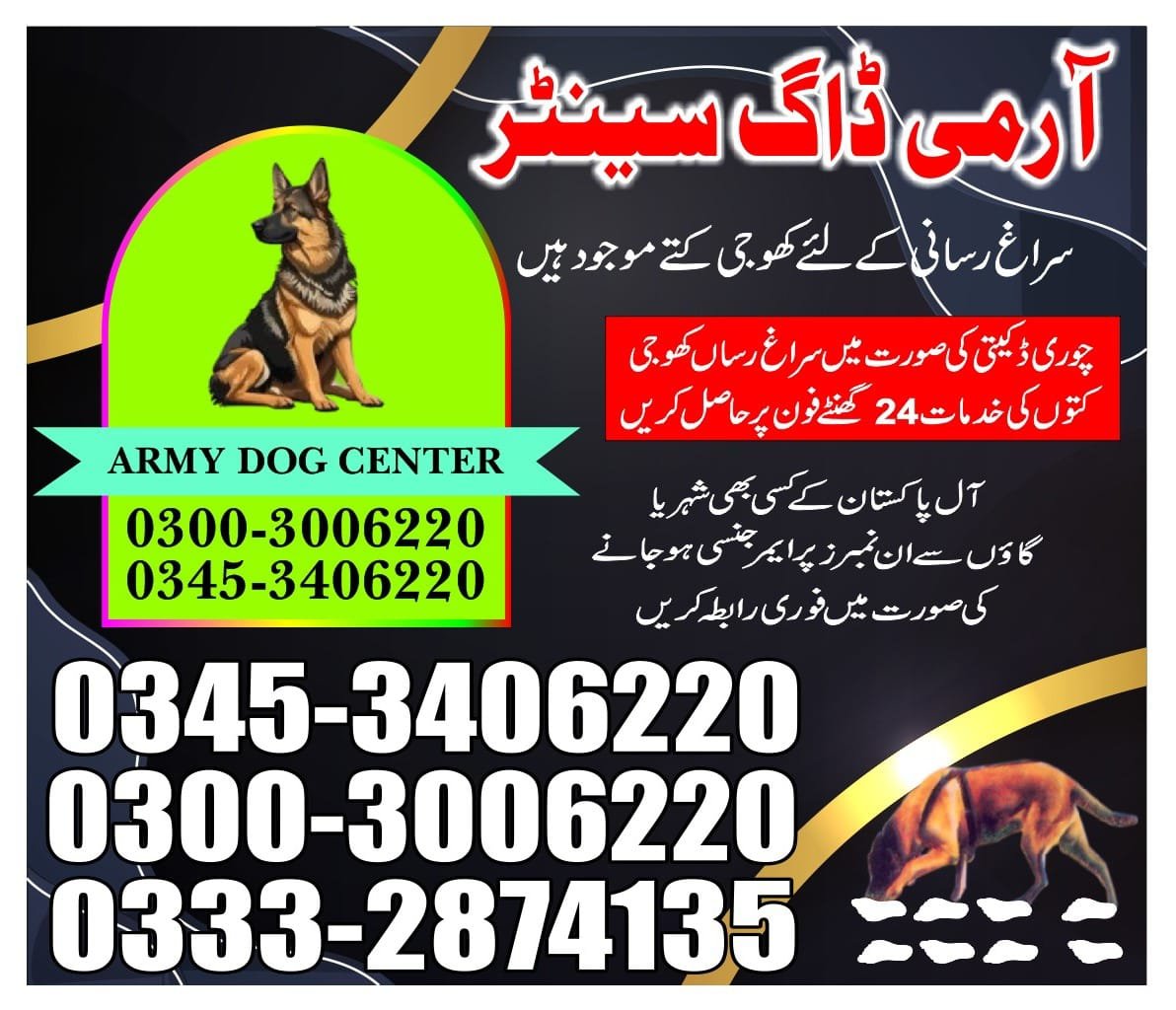 Army Dog Center |     dhabeji | 03332874135