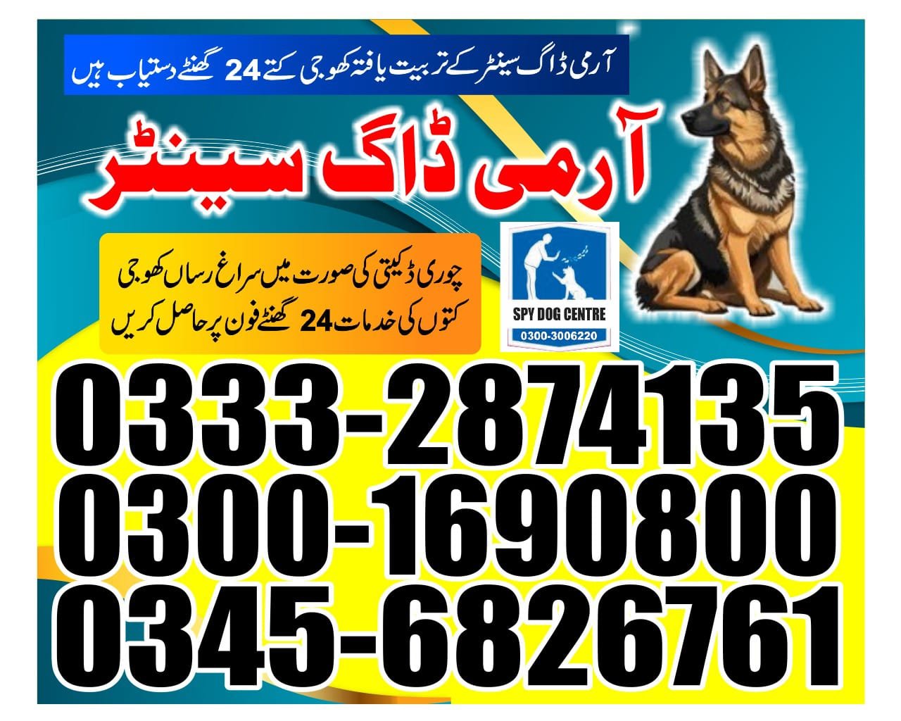 Army Dog Center | Kashmore | 24/7 service | contact us now | 03332874135