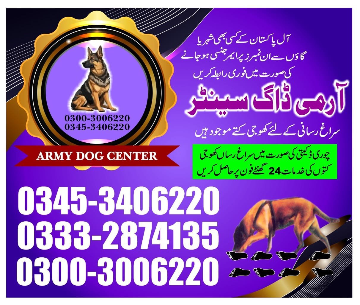 Army Dog Center | qambar | 24/7 service | contact us now | 03332874135