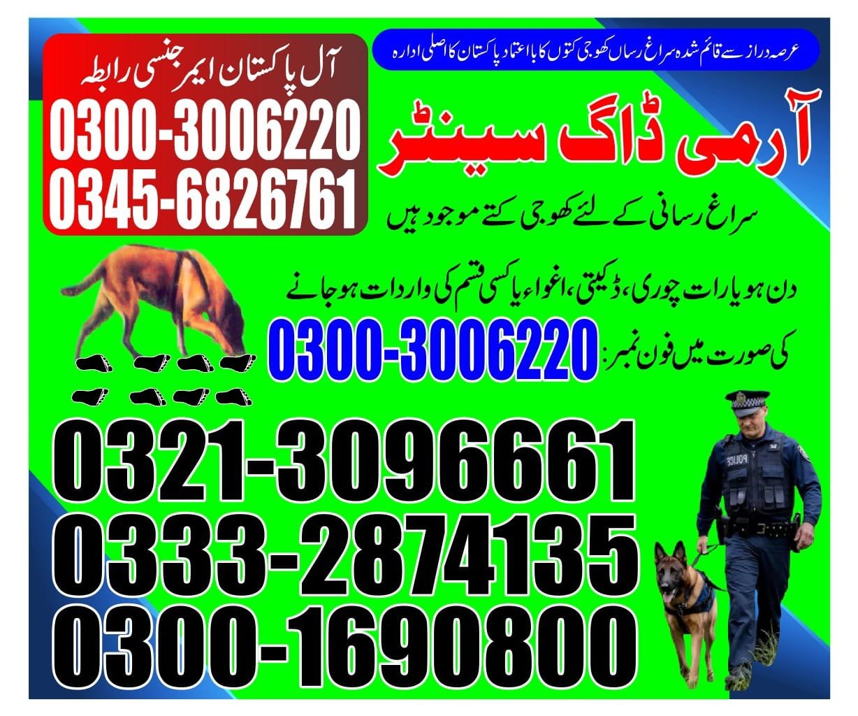 Army Dog Center | mehar | 24/7 service | contact us now | 03332874135