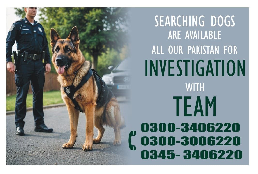 Army Dog Center | digbala  | 24/7 service | contact us now | 03332874135