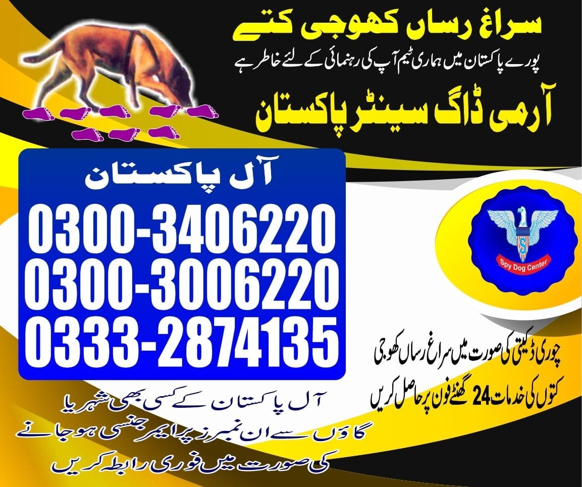 Army Dog Center | kandiaro | 24/7 service | contact us now | 03332874135