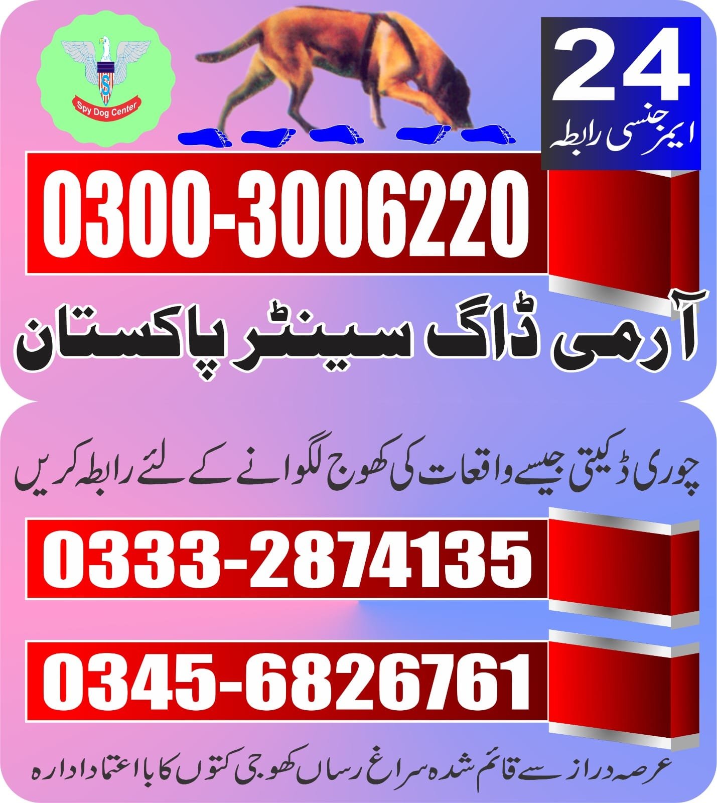 ARMY DOG CENTER |        hyderabadcantt| 03332874135 | 03008977885 |  24/7