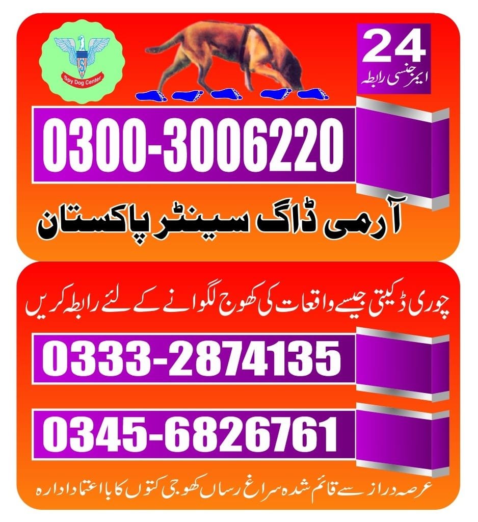 ARMY DOG CENTER |    badin    | 03332874135 | 03008977885 |  24/7