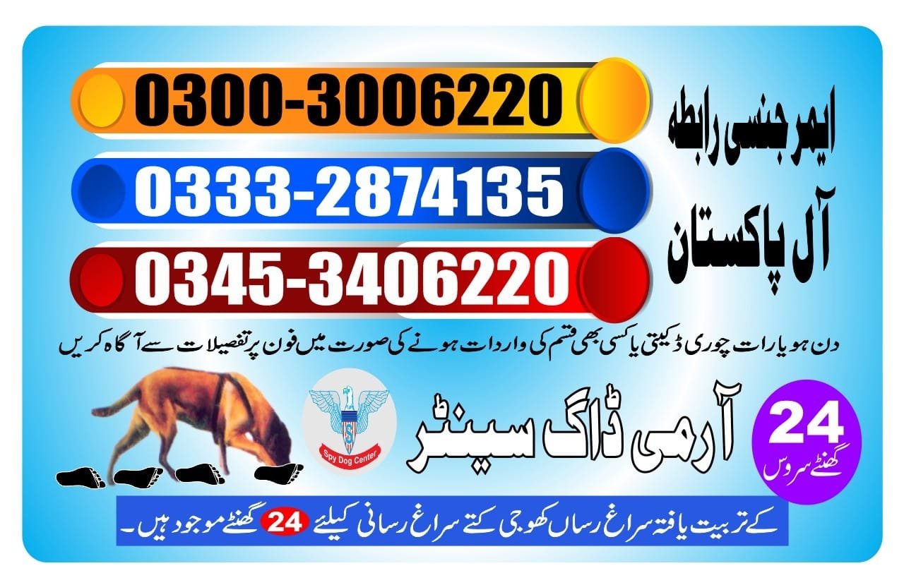 ARMY DOG CENTER |      labor colony | 03332874135 | 03008977885 |  24/7