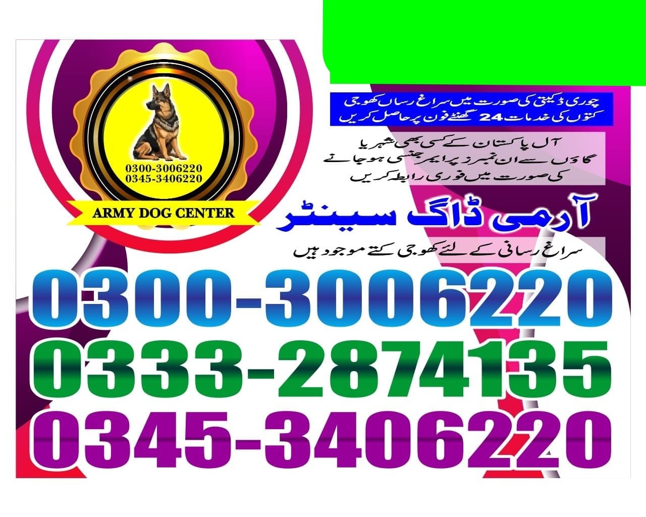 ARMY DOG CENTER |    dhabeji    | 03332874135 | 03008977885 |  24/7
