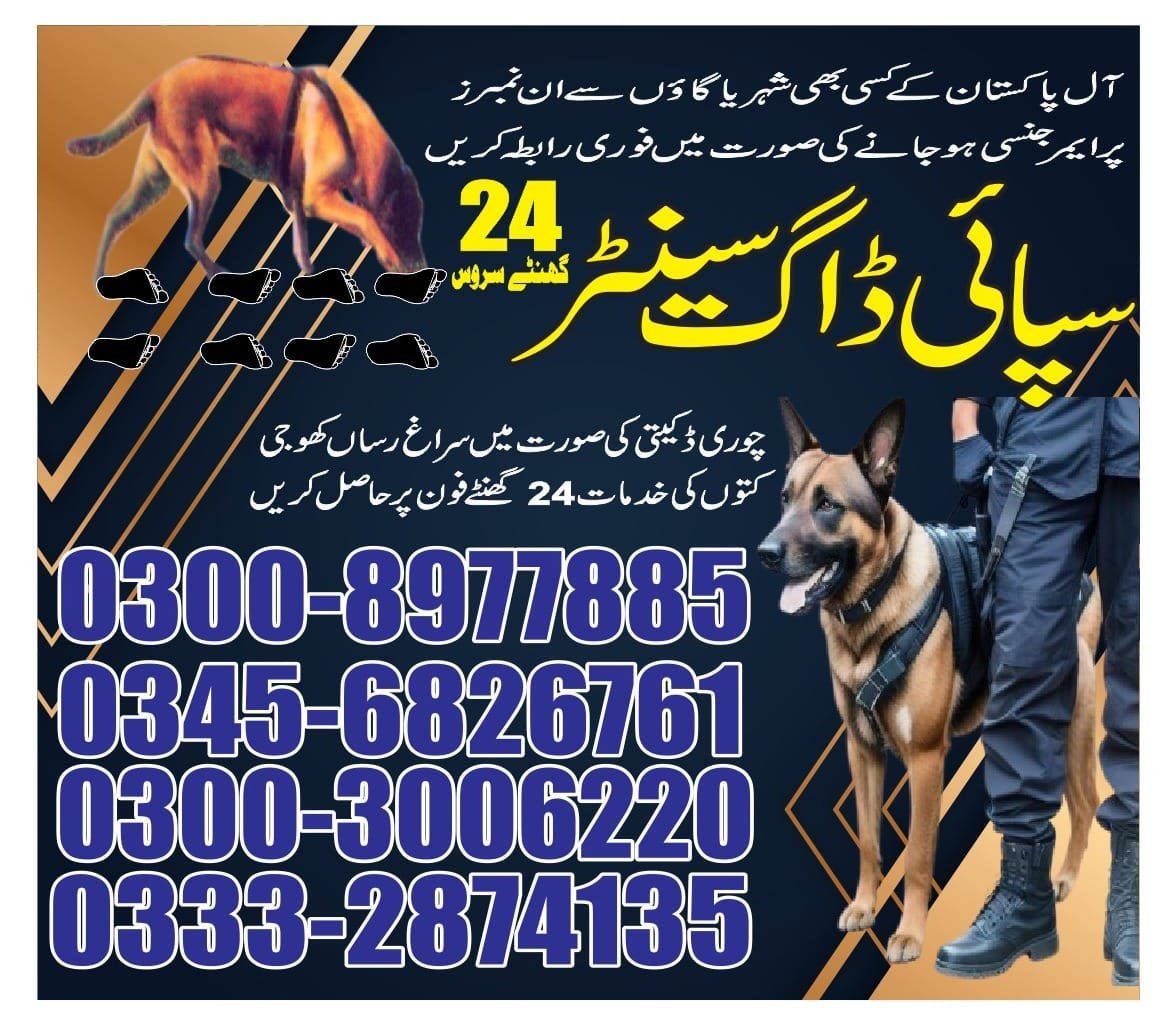 Army Dog Center  || layyah     || 03332874135 ||24/7||