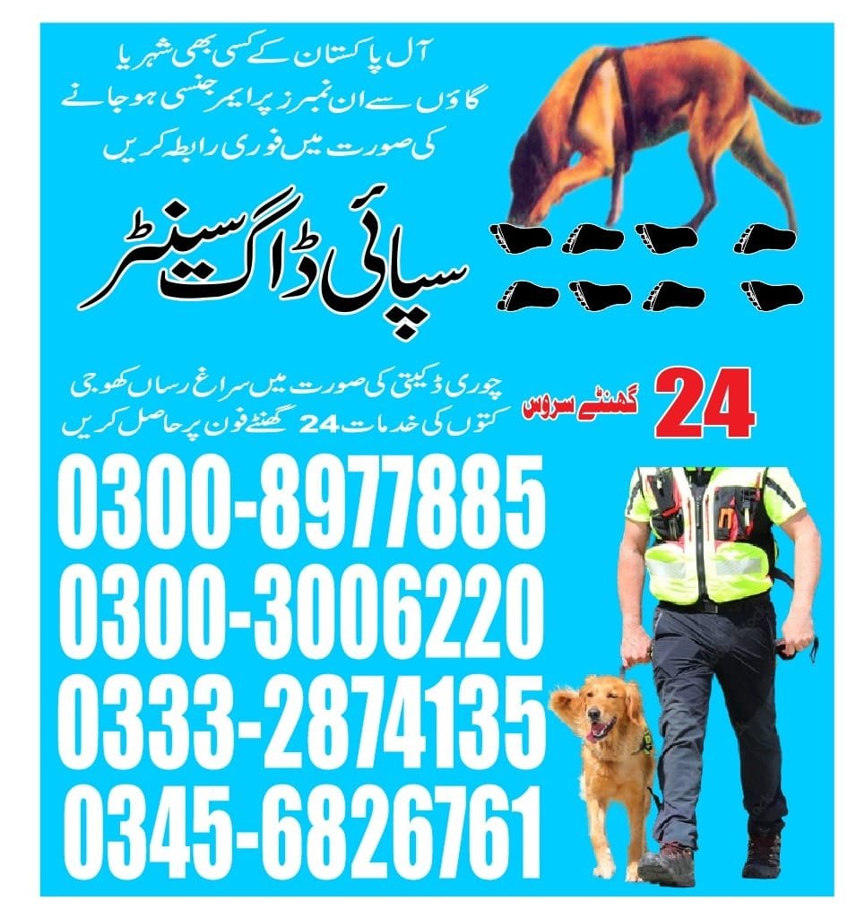 Army Dog Center  || Jhelum    || 03332874135 ||24/7||