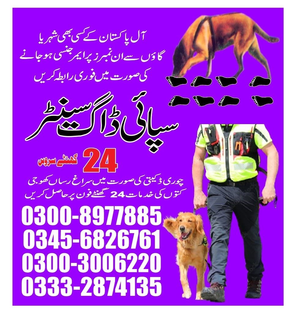 Army Dog Center |     Haronabad | 24/7 service | contact us now | 03332874135