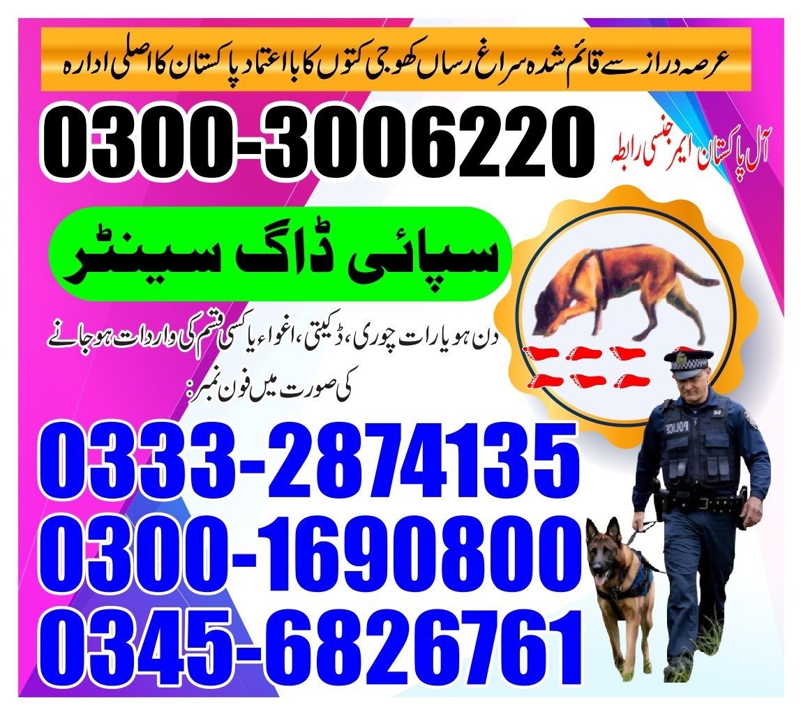ARMY DOG CENTER | Rahim yar khan| 03332874135 | 03008977885 |  24/7