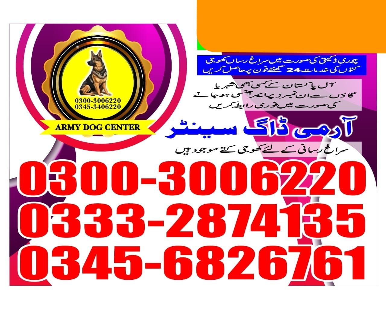 Army Dog Center 24/7   |    Mingora  |     03003006220 | 03332874135