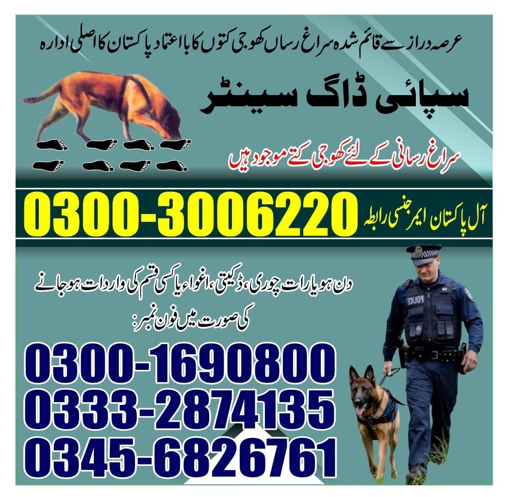 Army Dog Center |  sadiqabad      | 24/7 | 03332874135