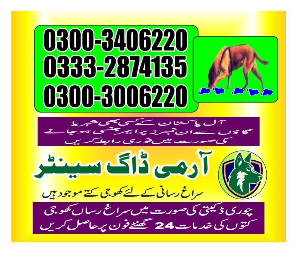 Army Dog Center  ||    Bahawalpur || 03332874135 ||24/7||