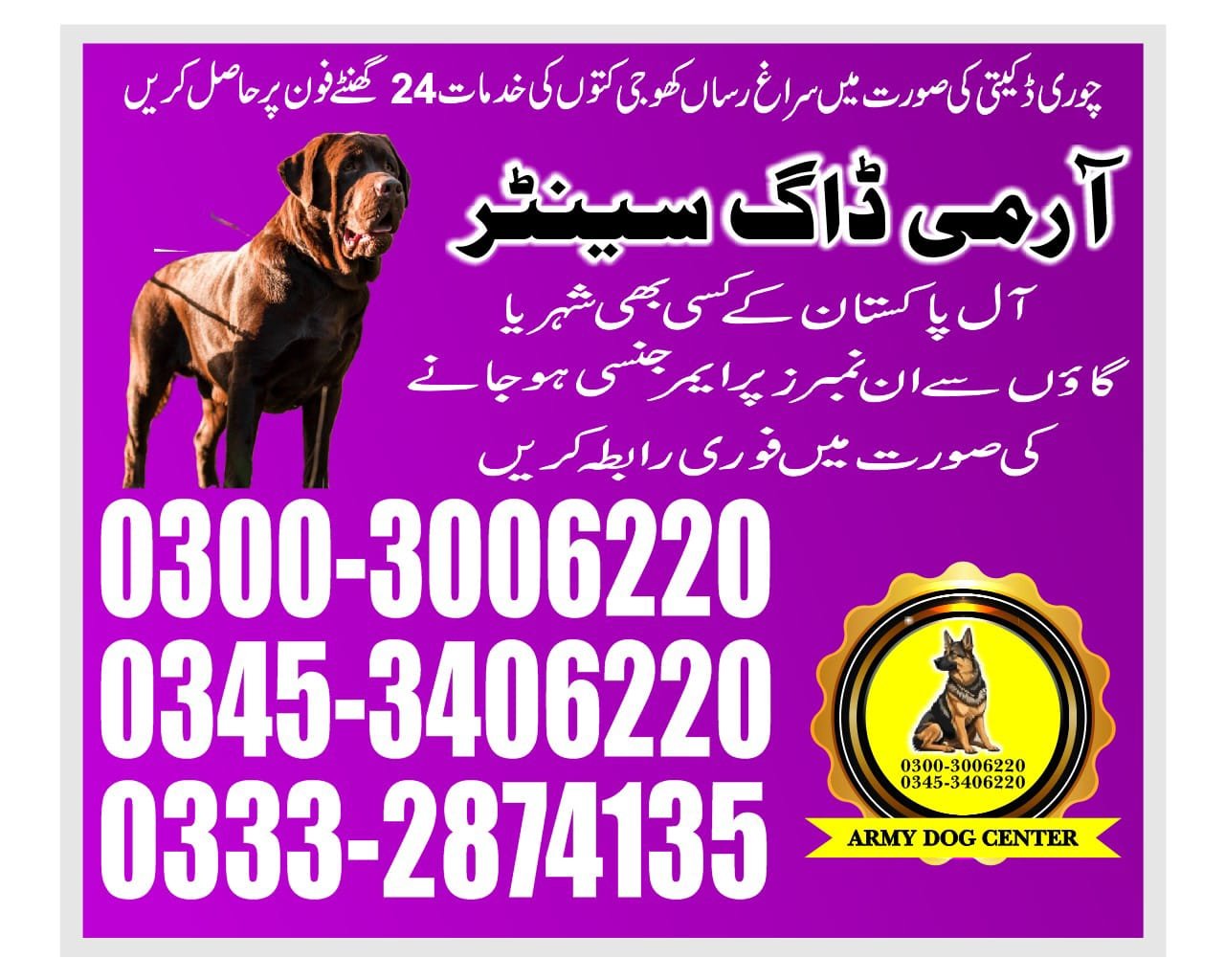 Army Dog Center  |  golarchi  | 24/7| 03332874135 |