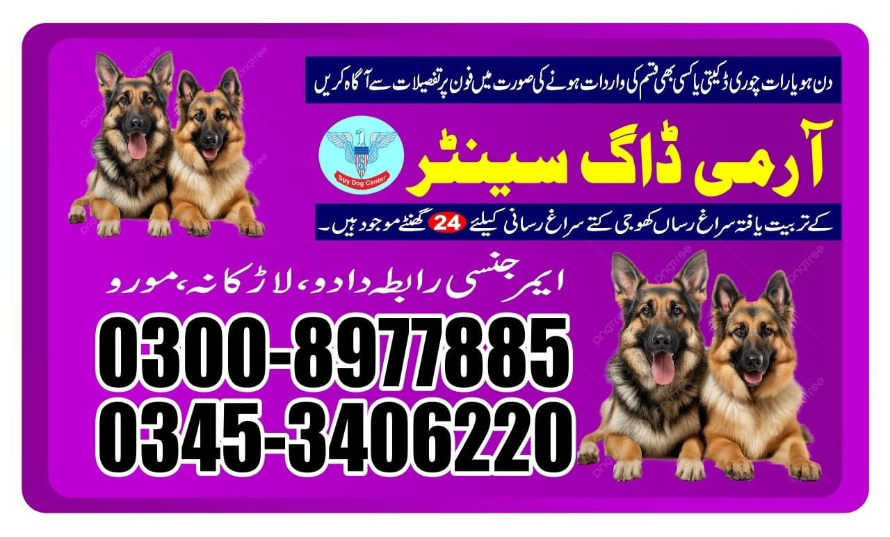 Army Dog Center  |  Kashmore  | 03332874135 | 24/7