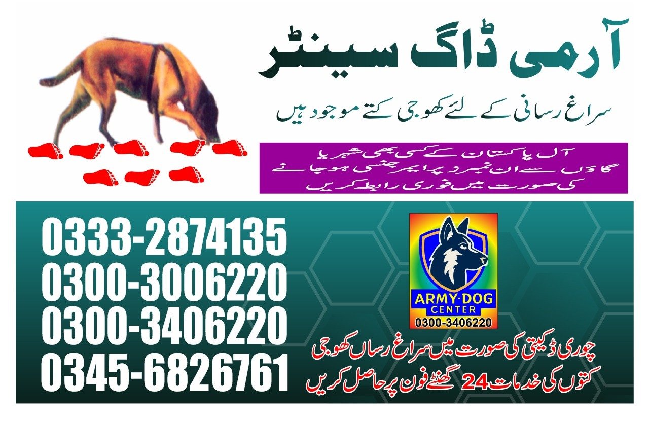 Army Dog Center 24/7   |    Mansehra  |     03003006220 | 03332874135