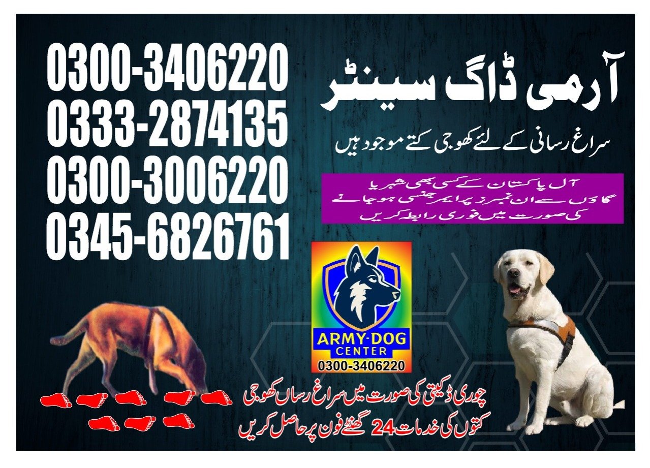 Army Dog Center 24/7   |   Haripur   |     03003006220 | 03332874135