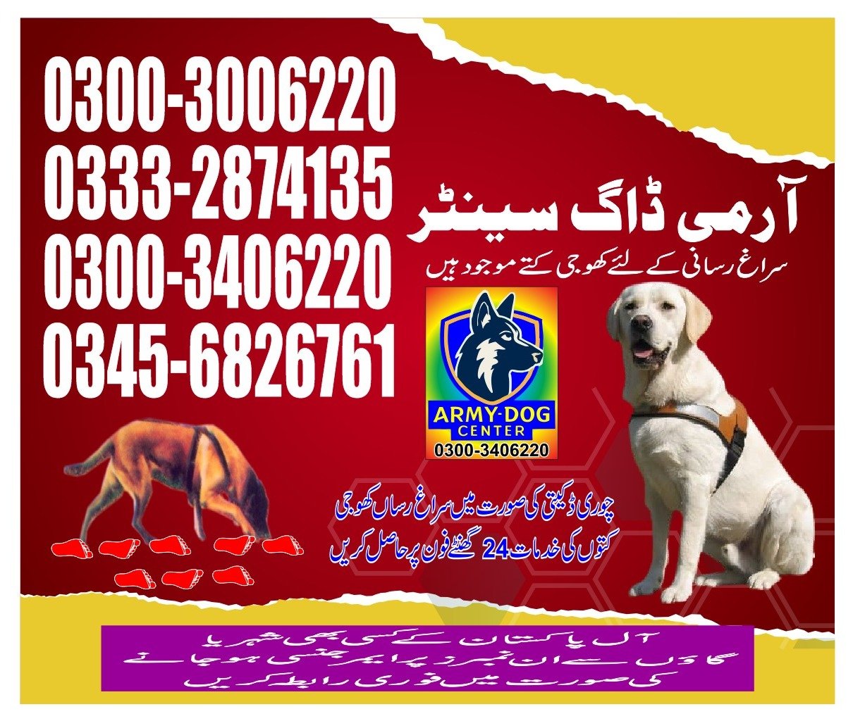 Army Dog Center 24/7   |    kohat  |     03003006220 | 03332874135