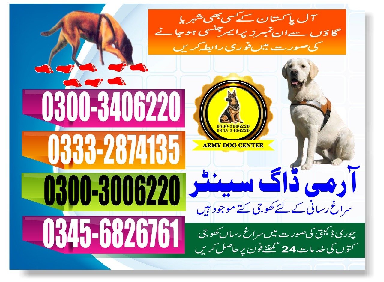 ARMY DOG CENTER |     daharki   | 03332874135 | 03008977885 |  24/7