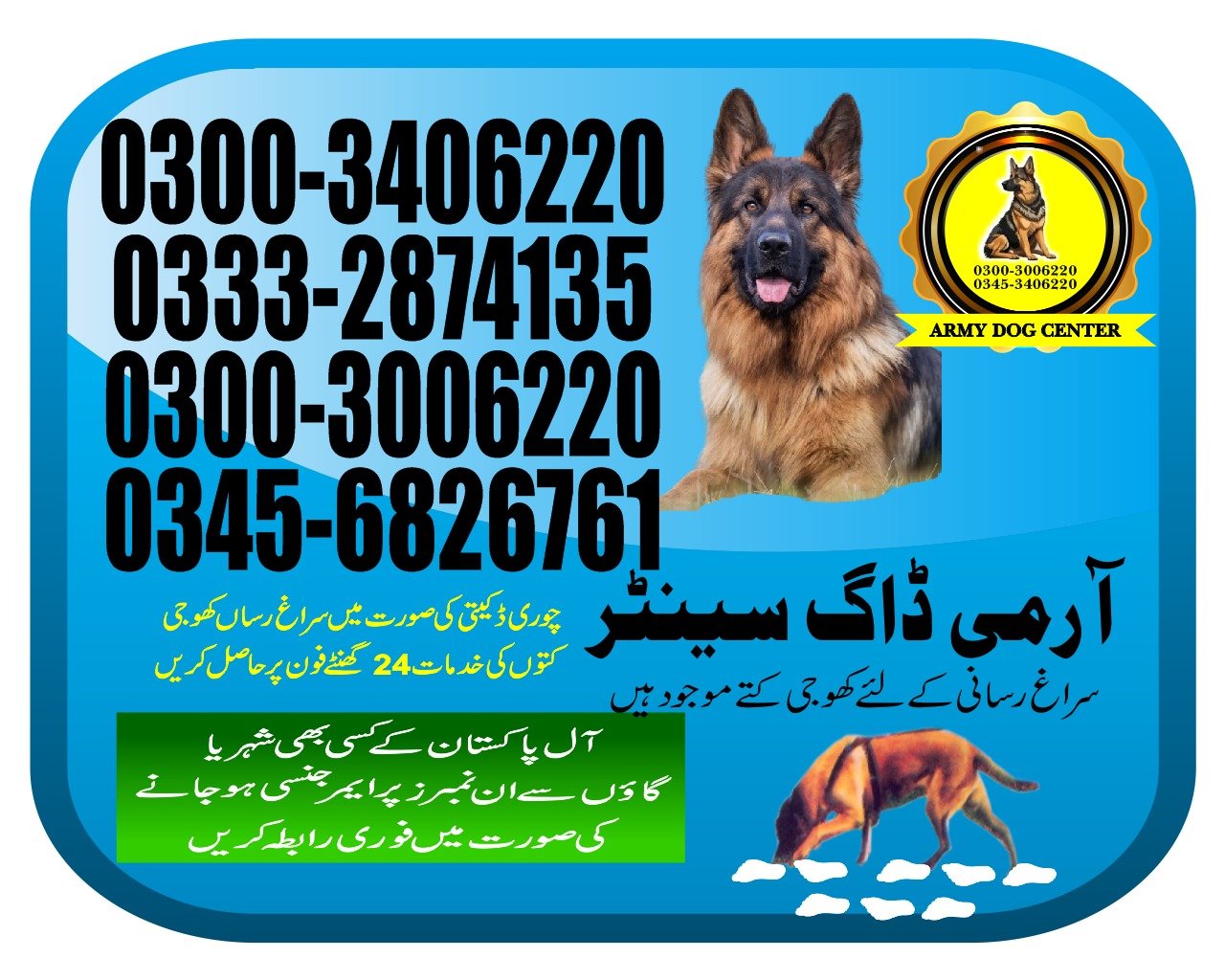 Army Dog Center  ( chuhar jamali  )03003406220 [24/7]