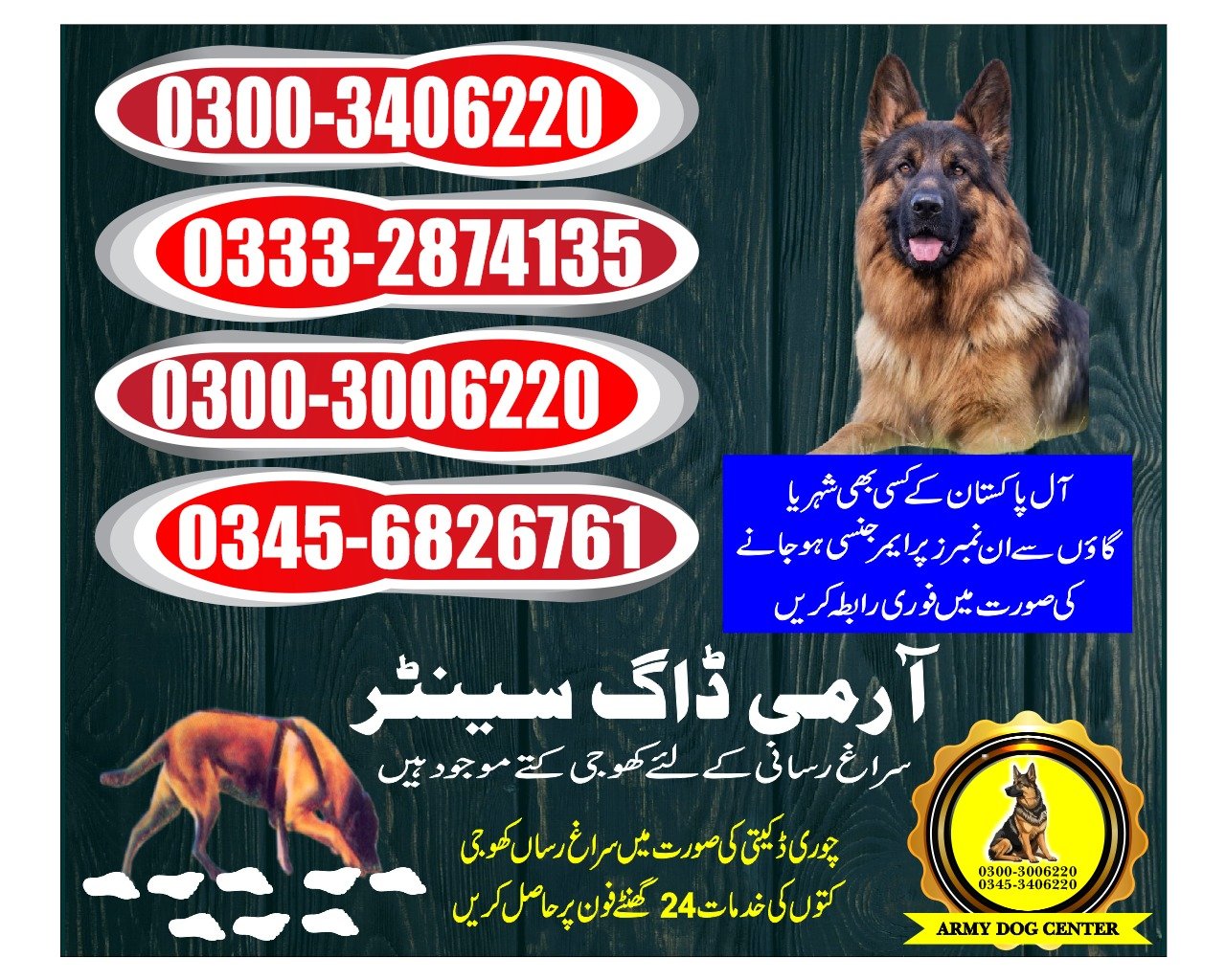 ARMY DOG CENTER |      Kashmore  | 03332874135 | 03008977885 |  24/7