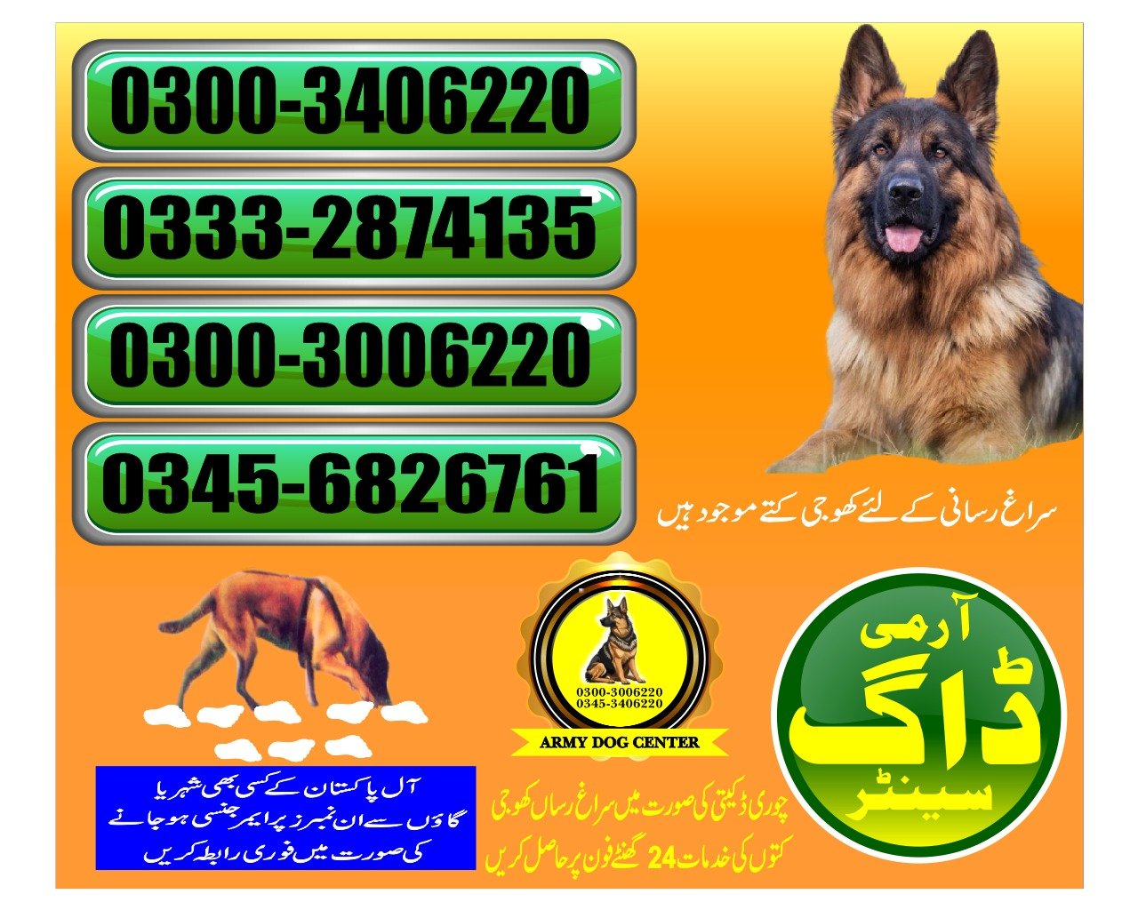 ARMY DOG CENTER |  ubauro      | 03332874135 | 03008977885 |  24/7