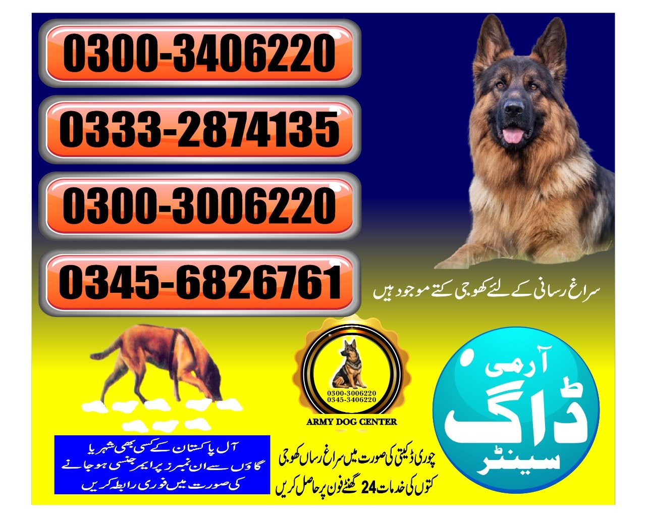ARMY DOG CENTER |   Shikarpur     | 03332874135 | 03008977885 |  24/7