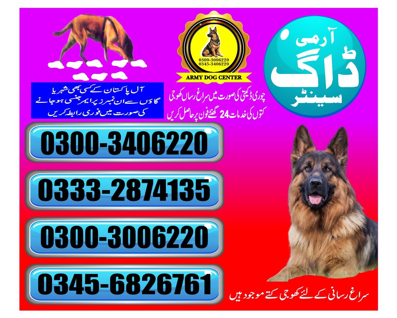 ARMY DOG CENTER |   Naudero     | 03332874135 | 03008977885 |  24/7