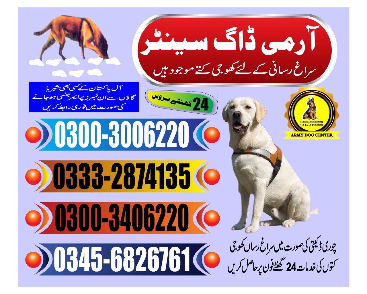 ARMY DOG CENTER |   Rato dero    | 03332874135 | 03008977885 |  24/7