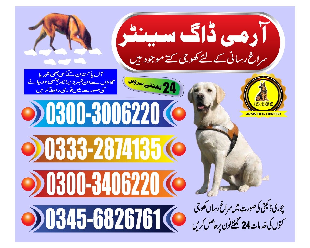 ARMY DOG CENTER |  Shahdadkot     | 03332874135 | 03008977885 |  24/7