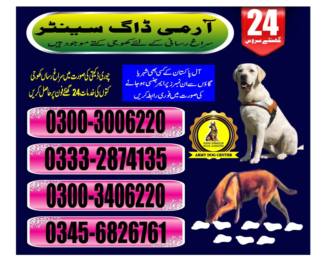 ARMY DOG CENTER |    Qambar    | 03332874135 | 03008977885 |  24/7