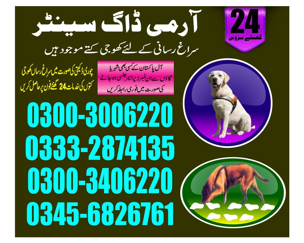 ARMY DOG CENTER |        mehar| 03332874135 | 03008977885 |  24/7