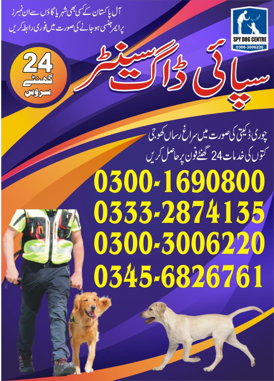 ARMY DOG CENTER |   shahkot     | 03332874135 | 03003006220  |  24/7