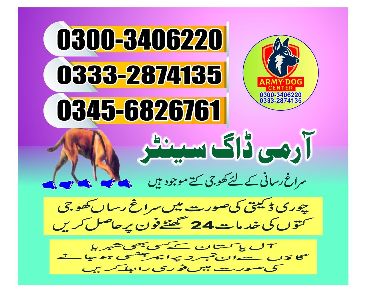 Army Dog Center (     Mingora )03332874135 [24/7]