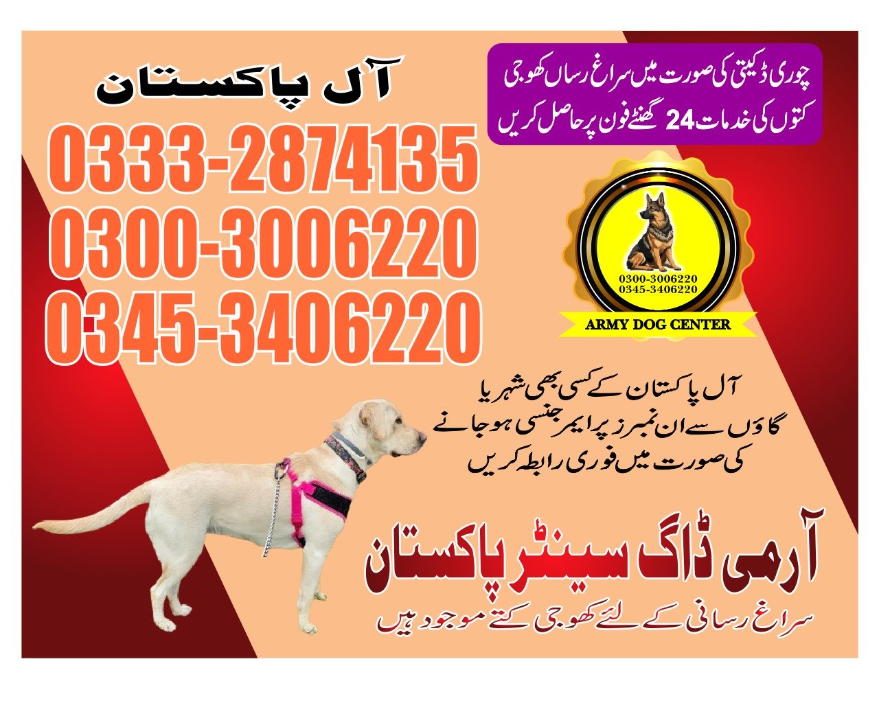 Army Dog Center  ||  golarchi   || 03332874135 ||24/7||