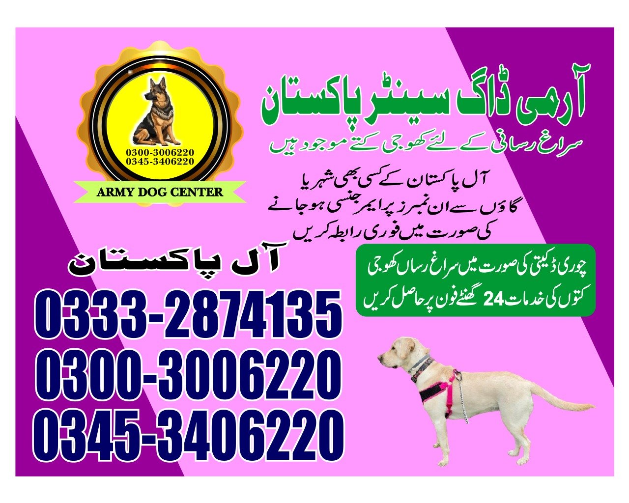 Army Dog Center  ||   hyderabad cantt || 03332874135 ||24/7||