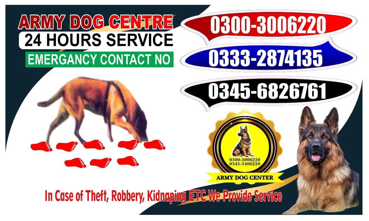 Army Dog Center  |  moro dadu | 03332874135 | 24/7