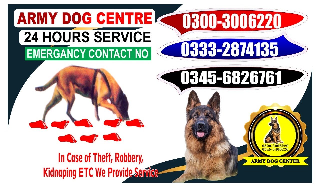 Army Dog Center  | Sukkur  | 03332874135 | 24/7