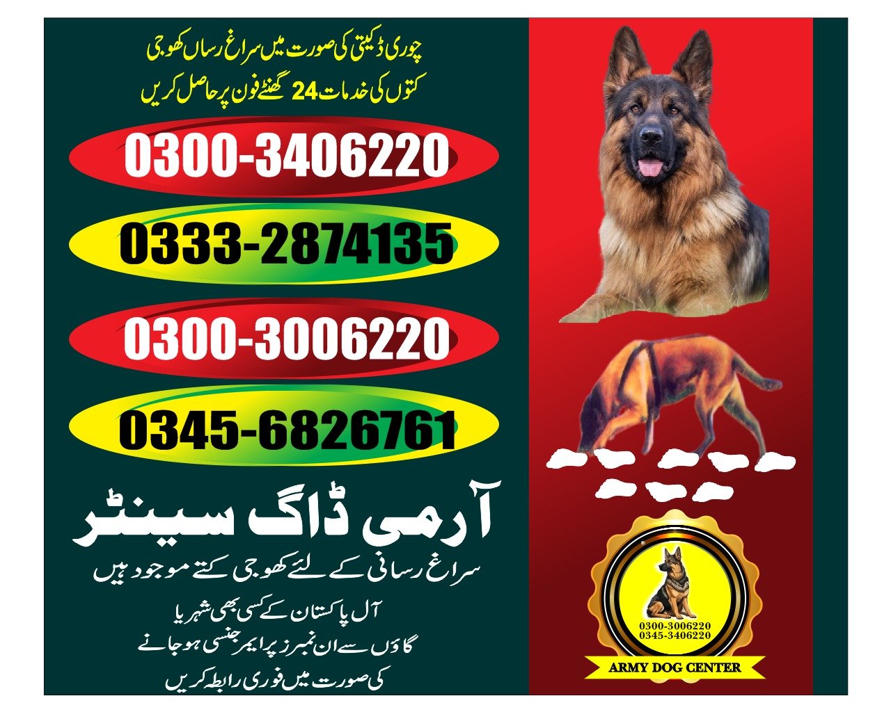 Army Dog Center  |   Shahdadpur | 03332874135 | 24/7
