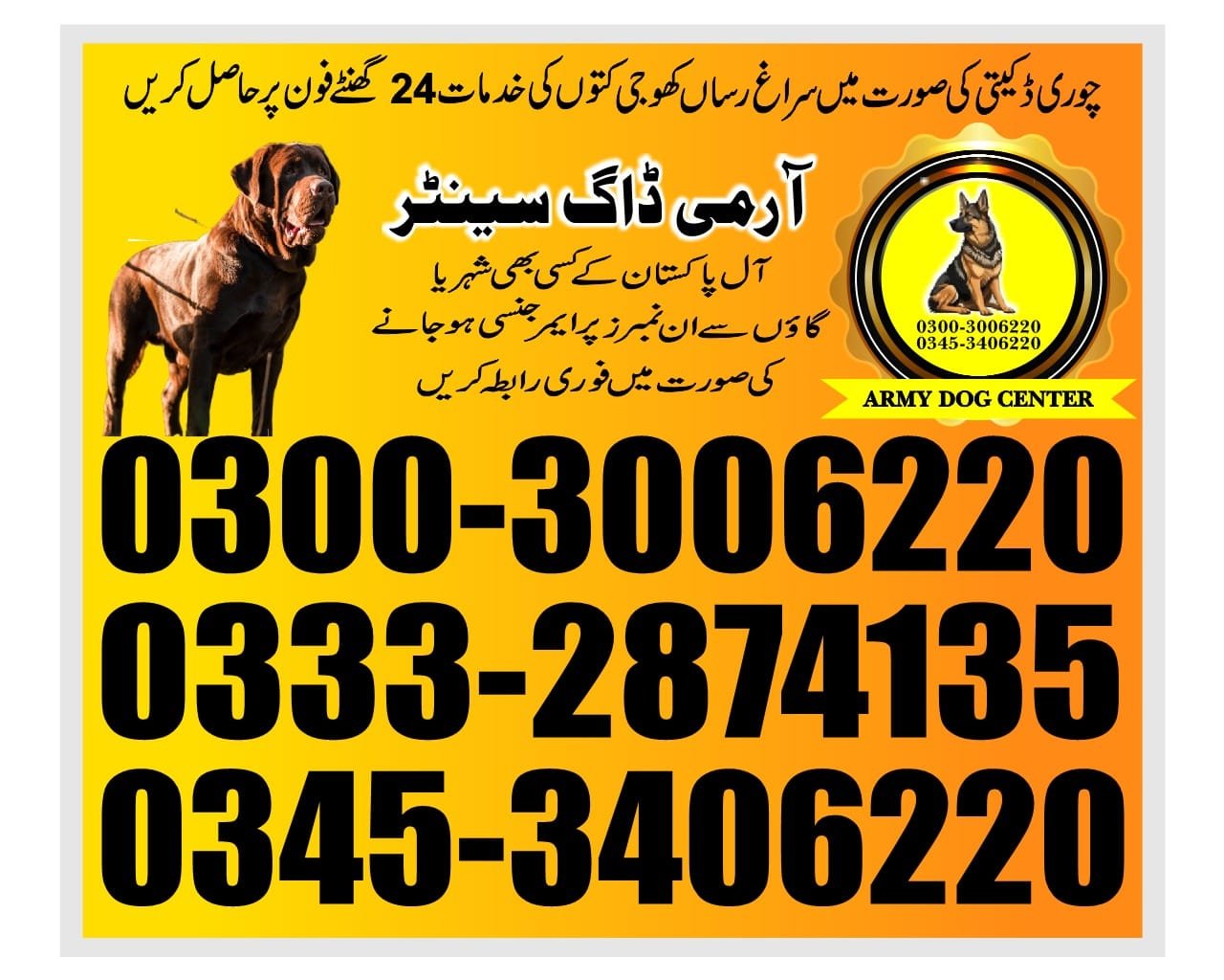 Army Dog Center  |   labor colony| 03332874135 | 24/7
