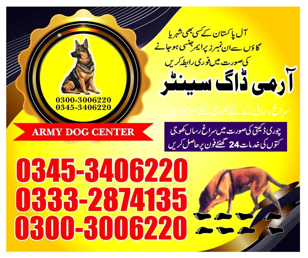 Army Dog Center  | makli jampir | 03332874135 | 24/7