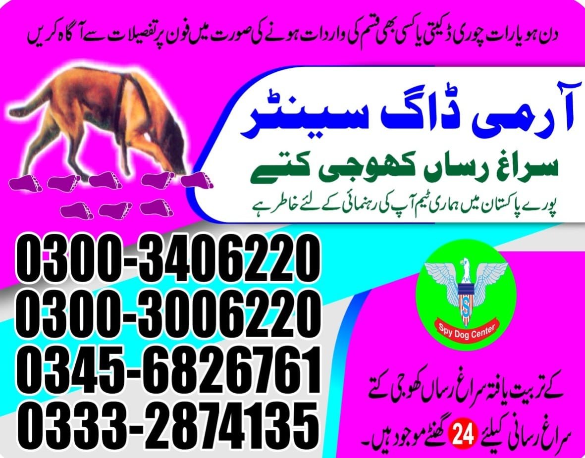 Army Dog Center  | Sujawal Chuhar Jamali | 24/7| 03332874135 |