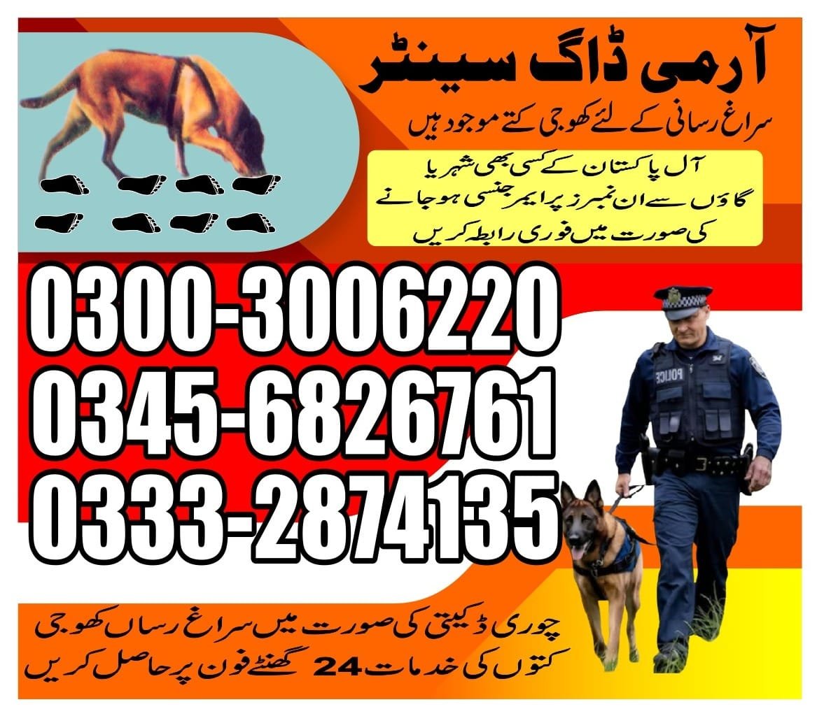 Army Dog Center  ||    dera gazikhan|| 03332874135 ||24/7||