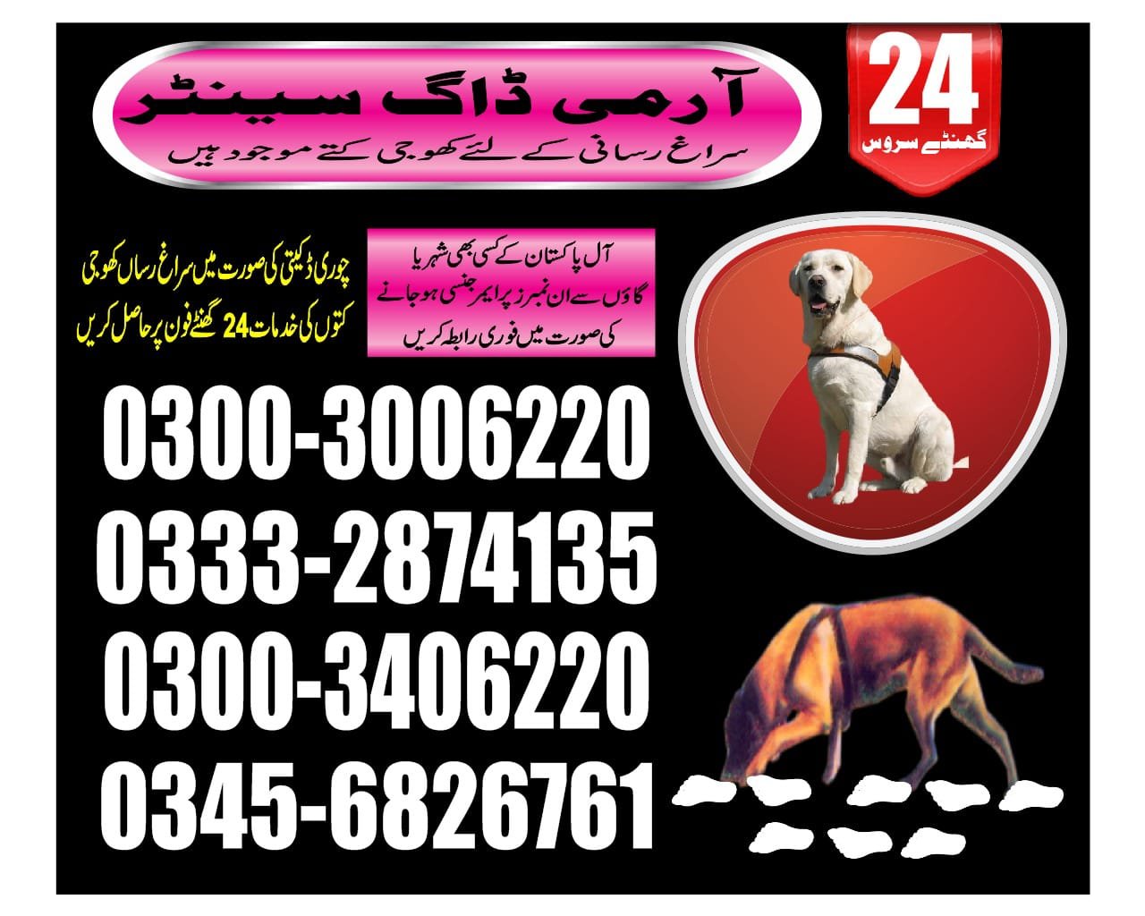Army Dog Center  ||    makli || 03332874135 ||24/7||