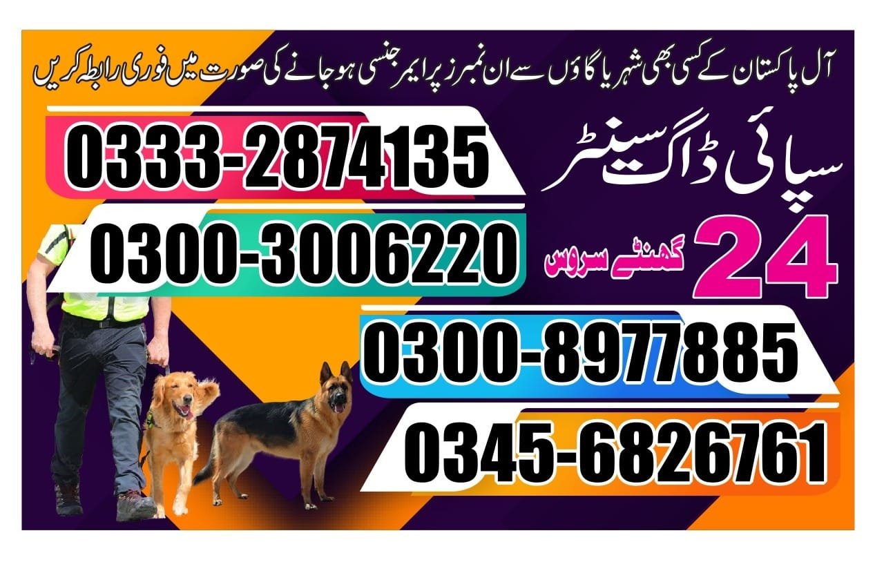 Army Dog Center.  l Tando Allahyar Tando jam| Pakistan | 24/7 | 03332874135